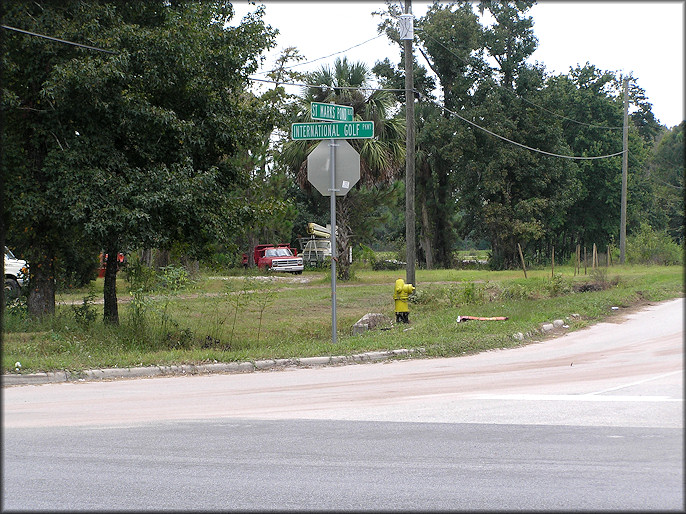 Intersection of International Golf Parkway and St. Marks Pond Boulevard where the Daedalochila were found