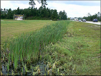 Ditch in the 4600 block of Kernan Boulevard