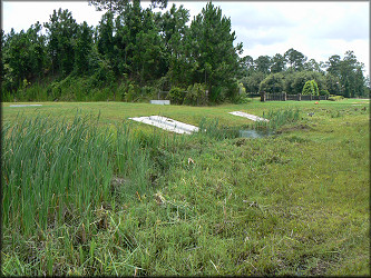 Ditch in the 4600 block of Kernan Boulevard