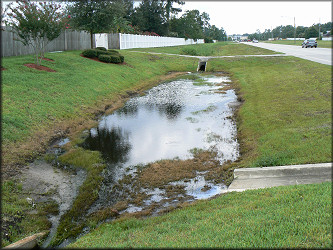 Ditch in the 4400 block of Kernan Boulevard