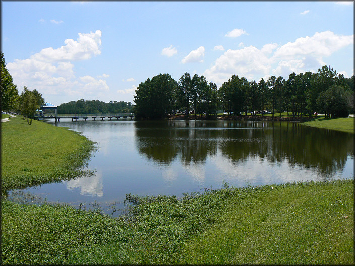 Fourth And Largest Lake At Cypress Plaza With A Pomacea paludosa Population