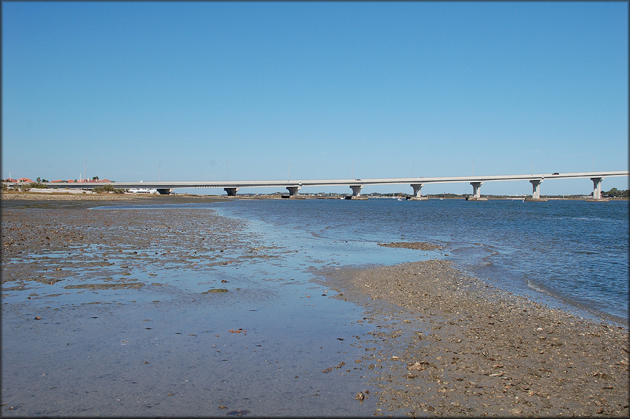 South Side Of St. Augustine Inlet/Tolomato River Looking West (1/9/2009)