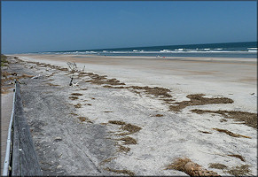 Little Talbot Island Looking To The Northeast 4/17/2012