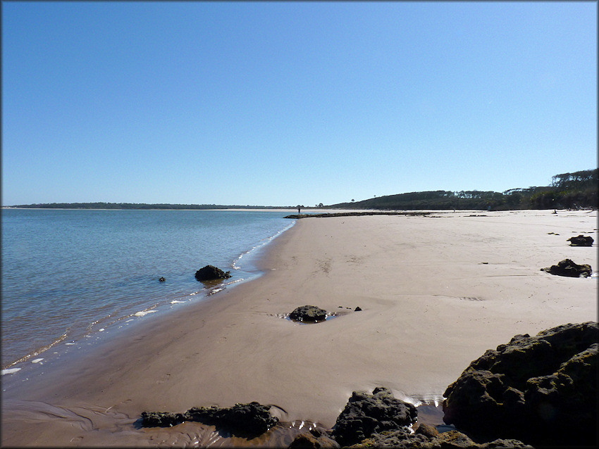 Big Talbot Island - southern end of the island (1/12/2013)