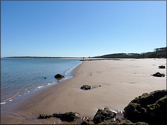 Big Talbot Island - southern end of the island (1/12/2013)