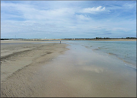 Huguenot Park Extensive Sand Flats (January 12, 2014)