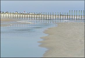 Looking north from the northern end of Hanna Park