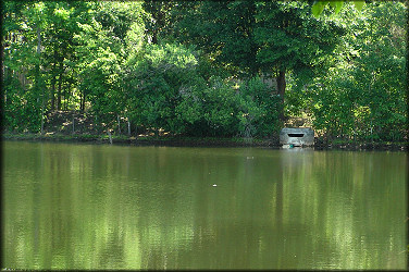 Quinn's lake