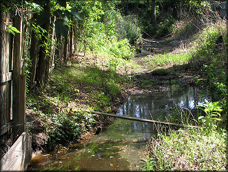 Ditch upstream from the culvert