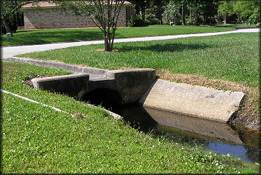 Culvert where the egg clutch was found