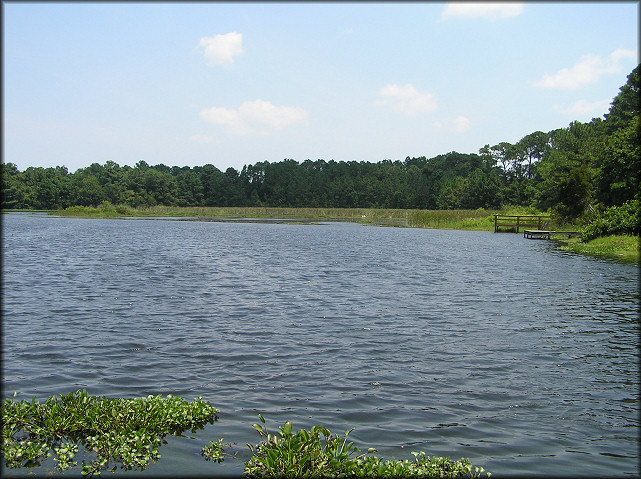 Looking East From The Lake Shoreline