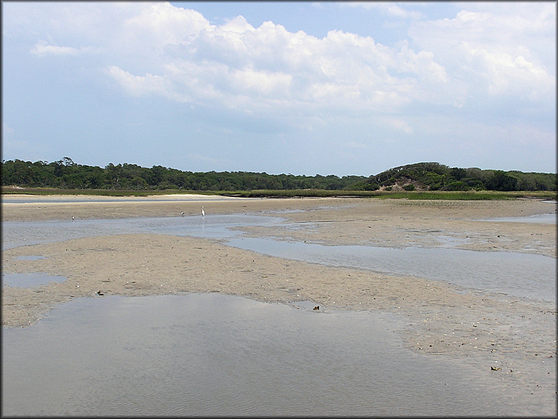 Simpson Creek/Salt Marsh