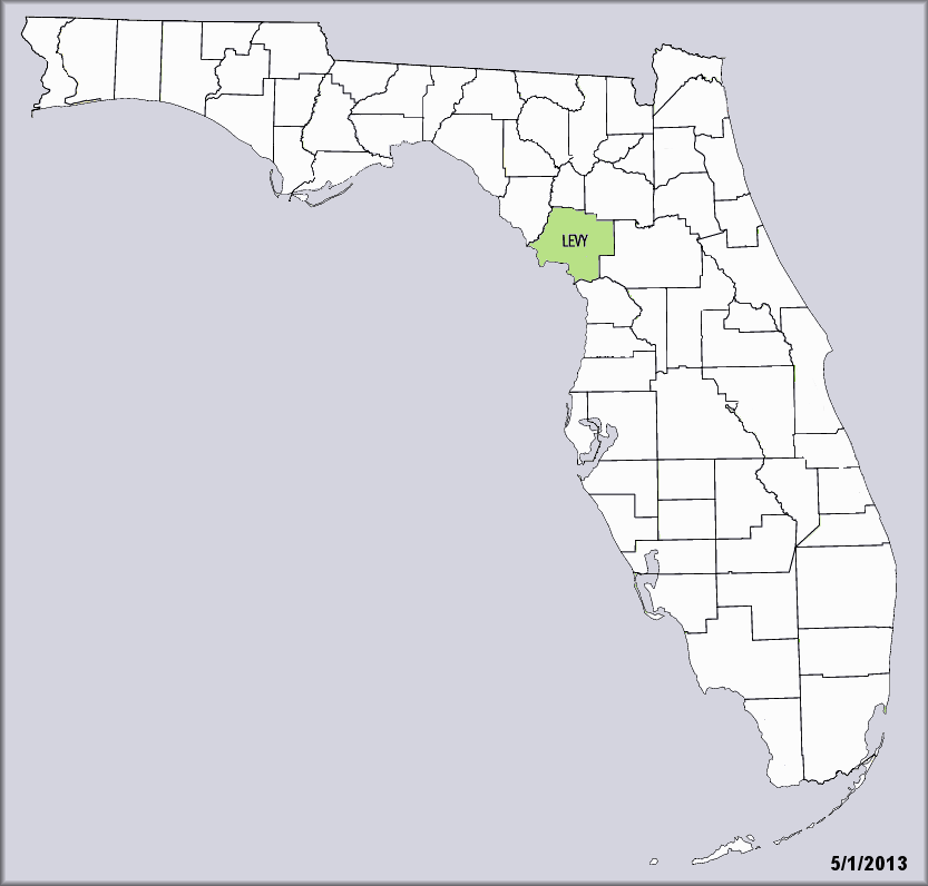 Daedalochila sp. aff. subclausa (Pilsbry, 1899) variant A, cf. Suwannee Liptooth Records For Florida