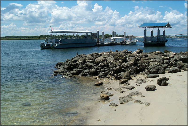 Matanzas River At The National Park Service Dock