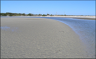 Inside Matanzas Inlet Looking To The North Northeast (1/10/2009)